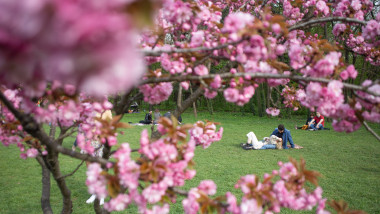 Mai multe persoane se relaxeaza in Gradina Japoneza din Parcul Herastrau, in Bucuresti,