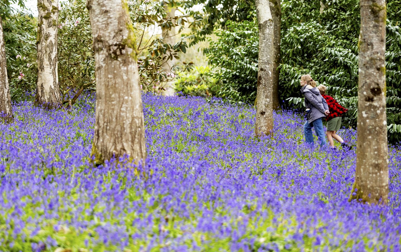 Ce se întâmplă cu vremea după un final de aprilie mai rece decât în mod obișnuit. Prognoza pentru luna mai