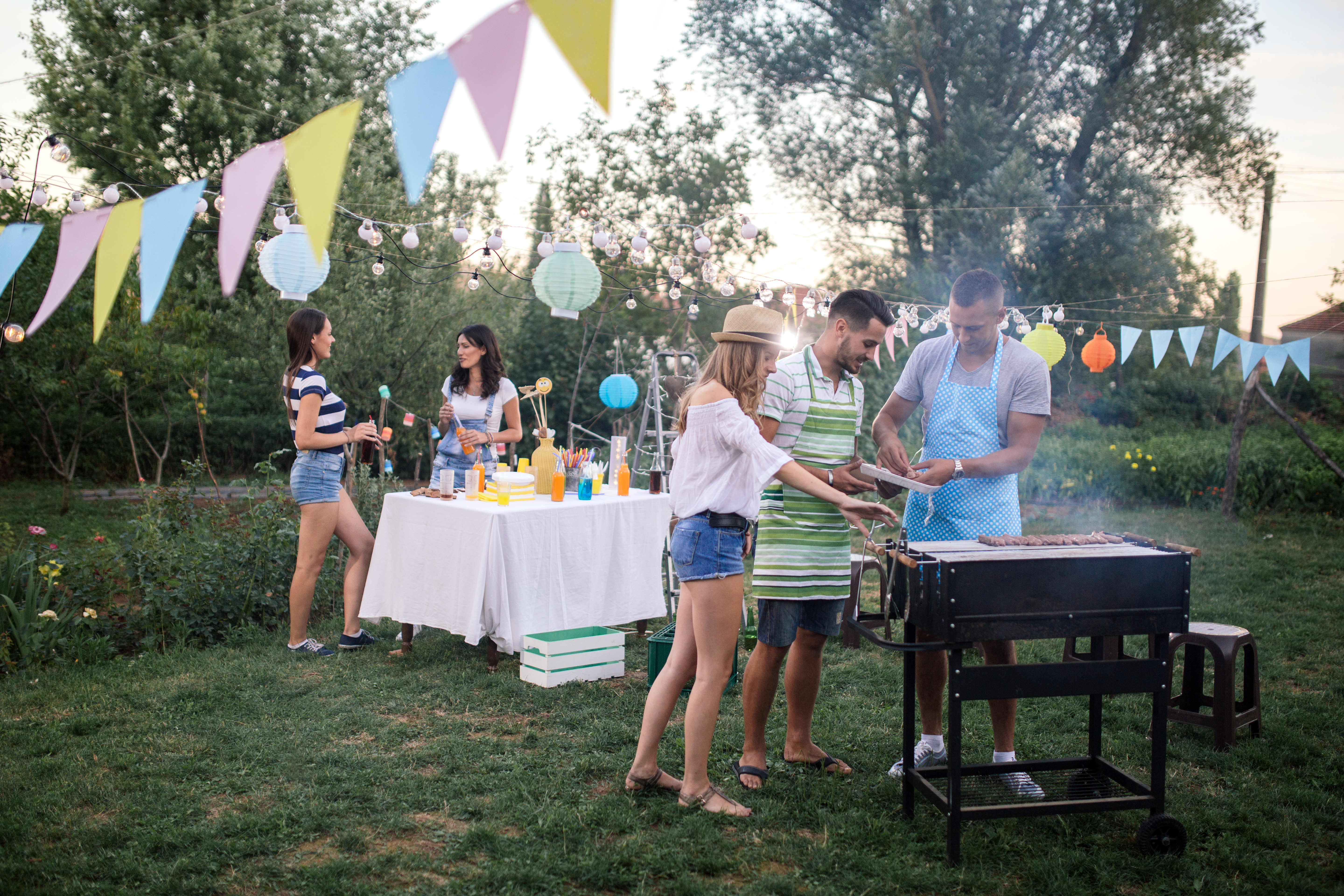 „Legea Picnicului” în 2026: Unde au voie românii să facă grătar și ce amenzi riscă dacă nu respectă regulile