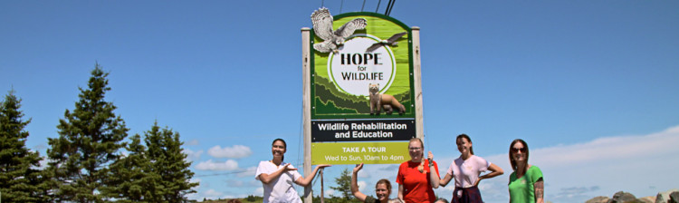 Speranță pentru natura sălbatică | s10 ep. 7