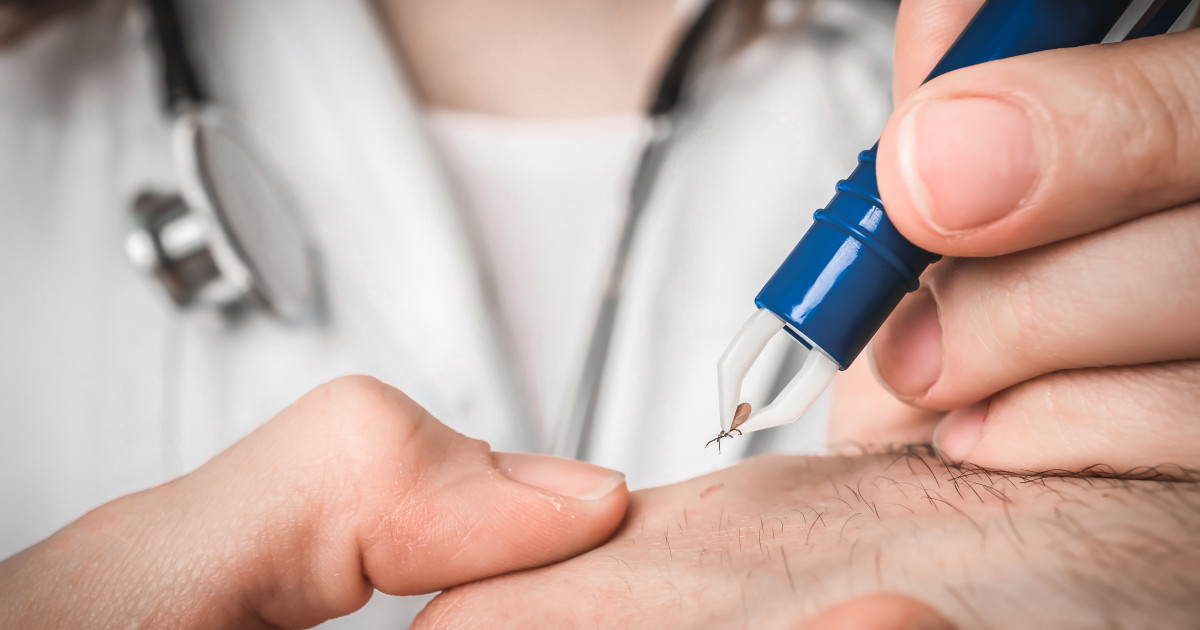 Căpușele, pericolul ascuns al verii: Medicii infecționiști explică ce boli transmit și cum recunoști rapid semnele mușcăturii