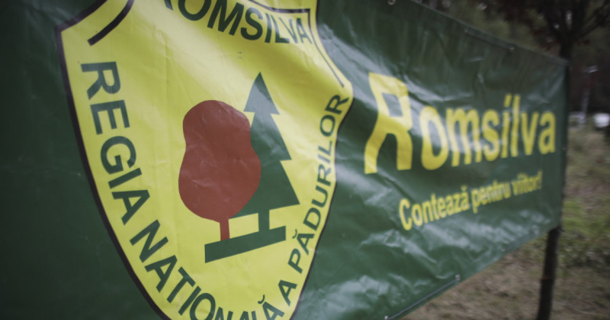 Instanţa respinge tentativa de suspendare a reformei Romsilva. Ministerul Mediului câştigă procesul privind HG de reorganizare a regiei