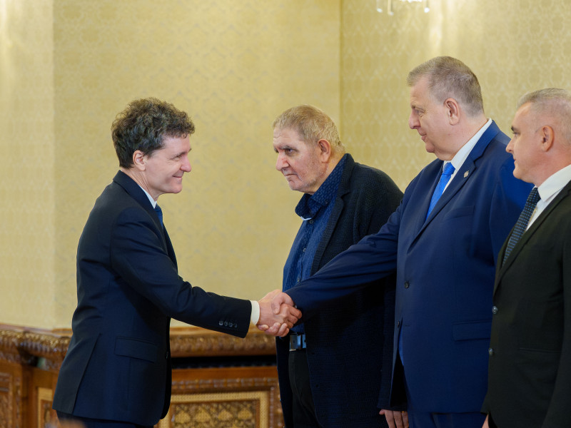 nicusor dan minoritati consultari