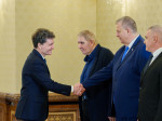 nicusor dan minoritati consultari