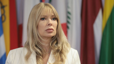 victoria stoiciu BUCURESTI - CONFERINTA - FDSC - LANSARE STUDIU IMIGRATIE - 26 SE