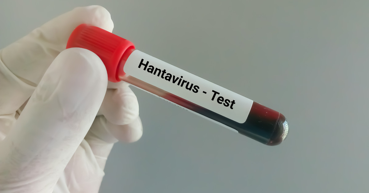 Ce este hantavirusul, infecția care a provocat trei decese pe o navă de croazieră. Medicii explică ce riscuri există în România