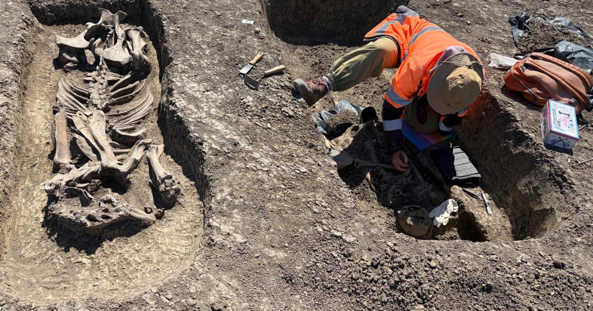 Descoperire arheologică pe Centura Timișoara Vest