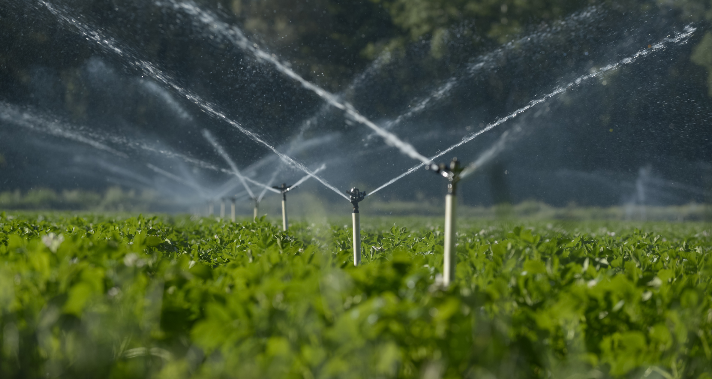 A început campania de irigații, momentul din an așteptat cu nerăbdare în agricultură. Cum arată rezerva de apă după iarnă