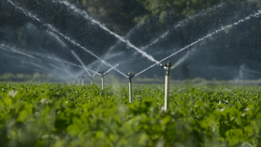 irigatii culturi agricole