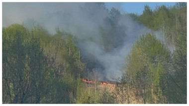 incendiu padure valea aniesului