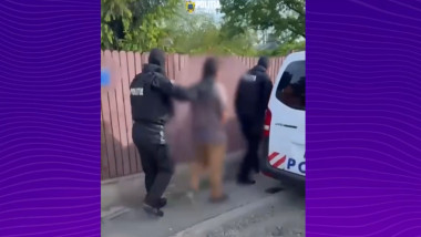 sofer stb politie perchezitii duba