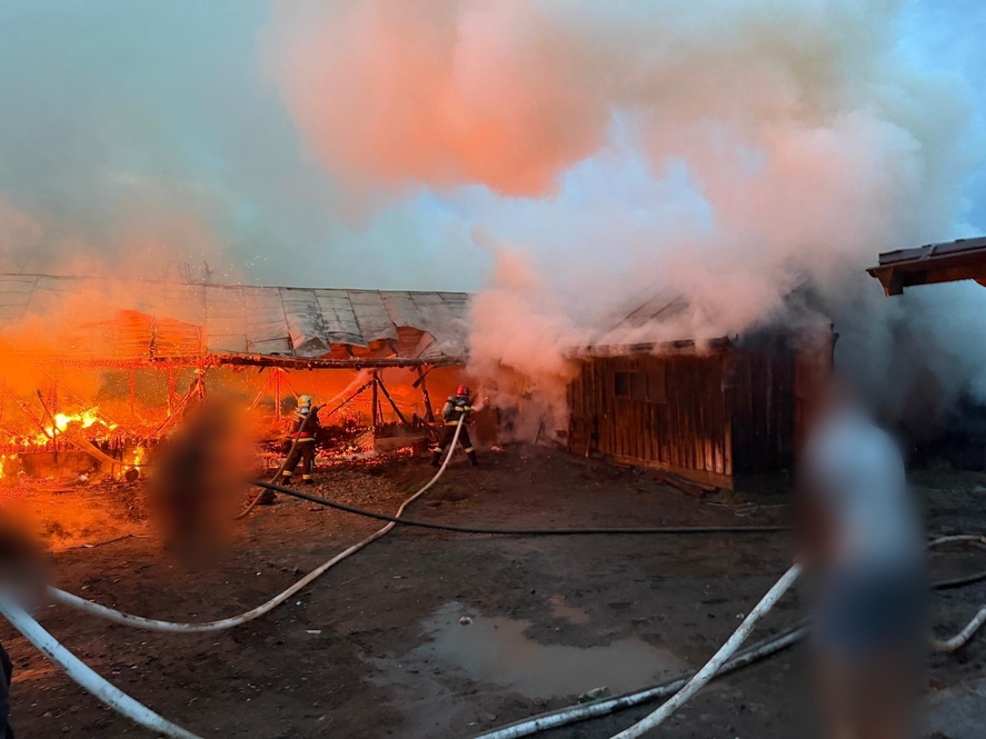 Un incendiu violent a cuprins două adăposturi de animale într-o localitate din Suceava