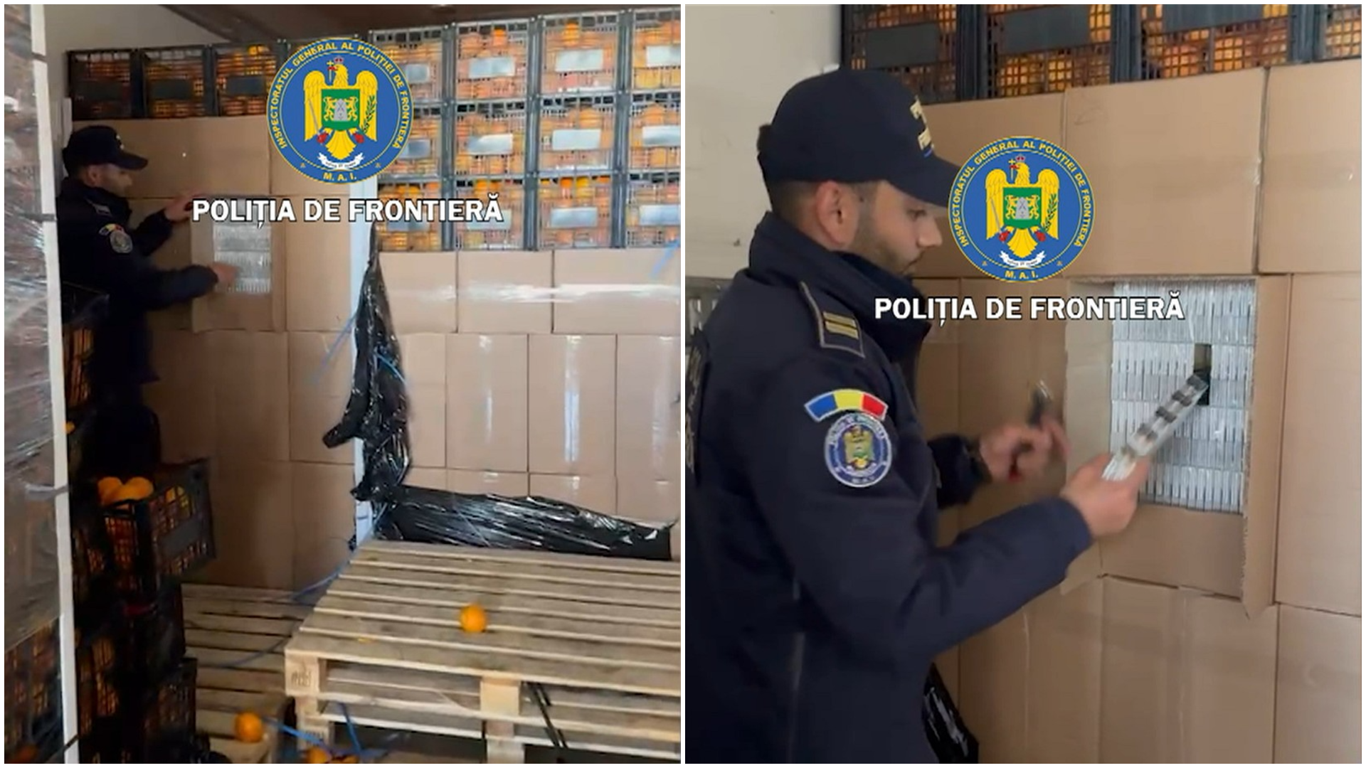 Țigări de contrabandă în valoare de 2 milioane de euro, ascunse printre lăzi cu portocale. Un român a fost arestat în Giurgiu