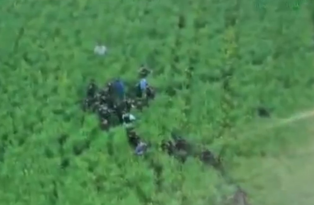 Imagini cu momentul capturării suspectului în crima din Bihor: Bărbatul era ascuns într-un lan de rapiță