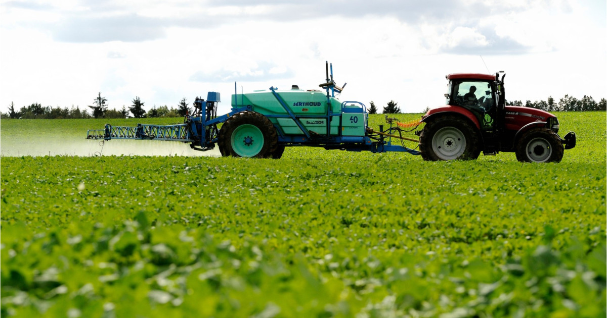 „Bomba cu ceas” care amenință să provoace o explozie a prețurilor alimentelor. Când se va resimți criza îngrășămintelor în Europa