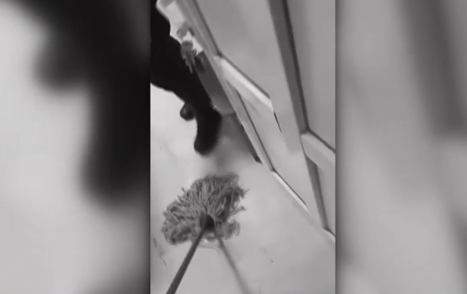 Bărbat pus să-și spele sângele într-o secție de poliție, după ce a fost mușcat de câine. IPJ Olt a deschis o anchetă