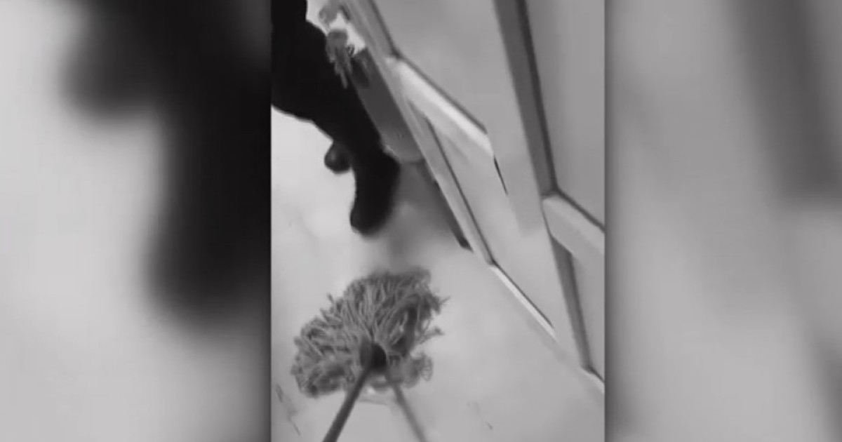 Bărbat pus să-și spele sângele într-o secție de poliție, după ce a fost mușcat de câine. IPJ Olt a deschis o anchetă