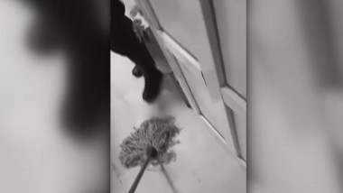 mop