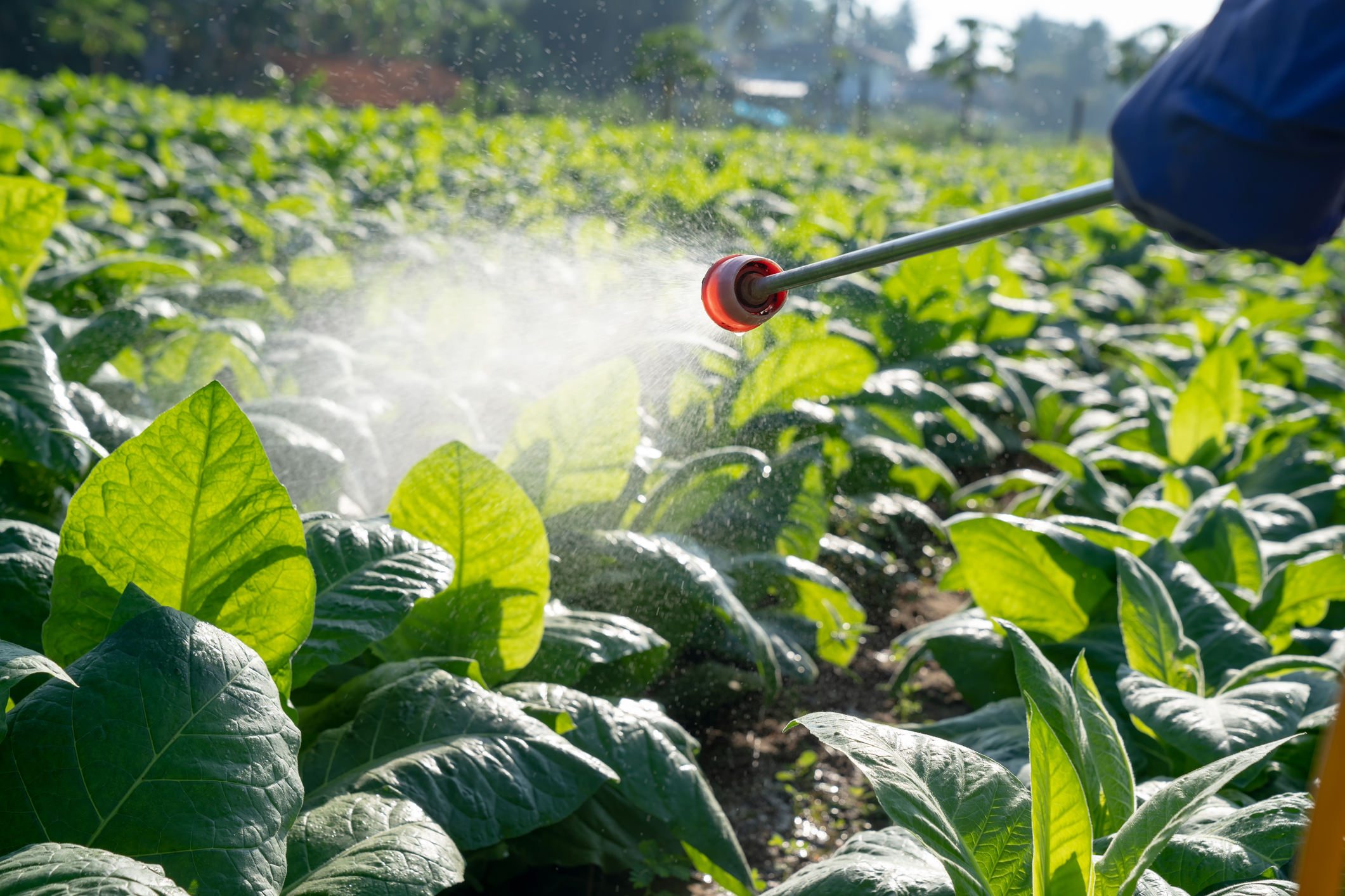 Afaceri ilegale cu pesticide la Petroșani: 45 de litri și 20 kilograme de produse periculoase, confiscate de polițiști
