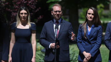 dominic fritz usr diana buzoianu oana toiu