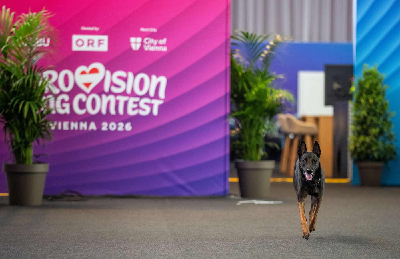 Aproape 500 de atacuri cibernetice au încercat să perturbe Eurovision 2026, anunță autoritățile austriece