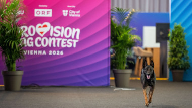 EUROVISION SONG CONTEST (ESC) 2026: ON-SITE INSPECTION OF "LOCKDOWN" SCENARIO