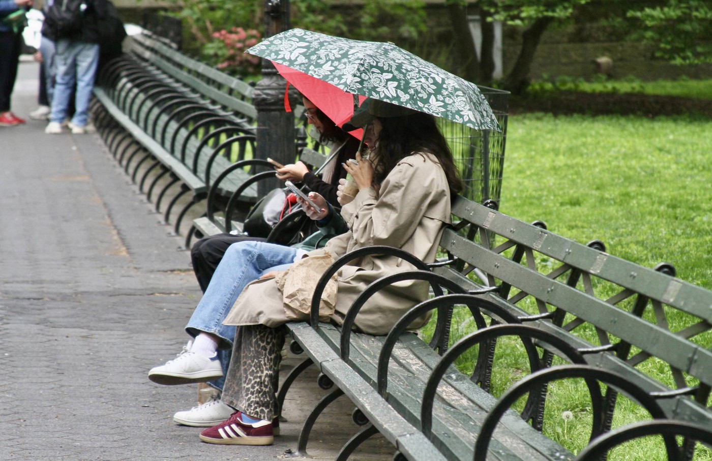 Meteorologii anunță o săptămână cu vreme mai rece și ploi mai multe decât de obicei. Estimări pentru următoarele patru săptămâni