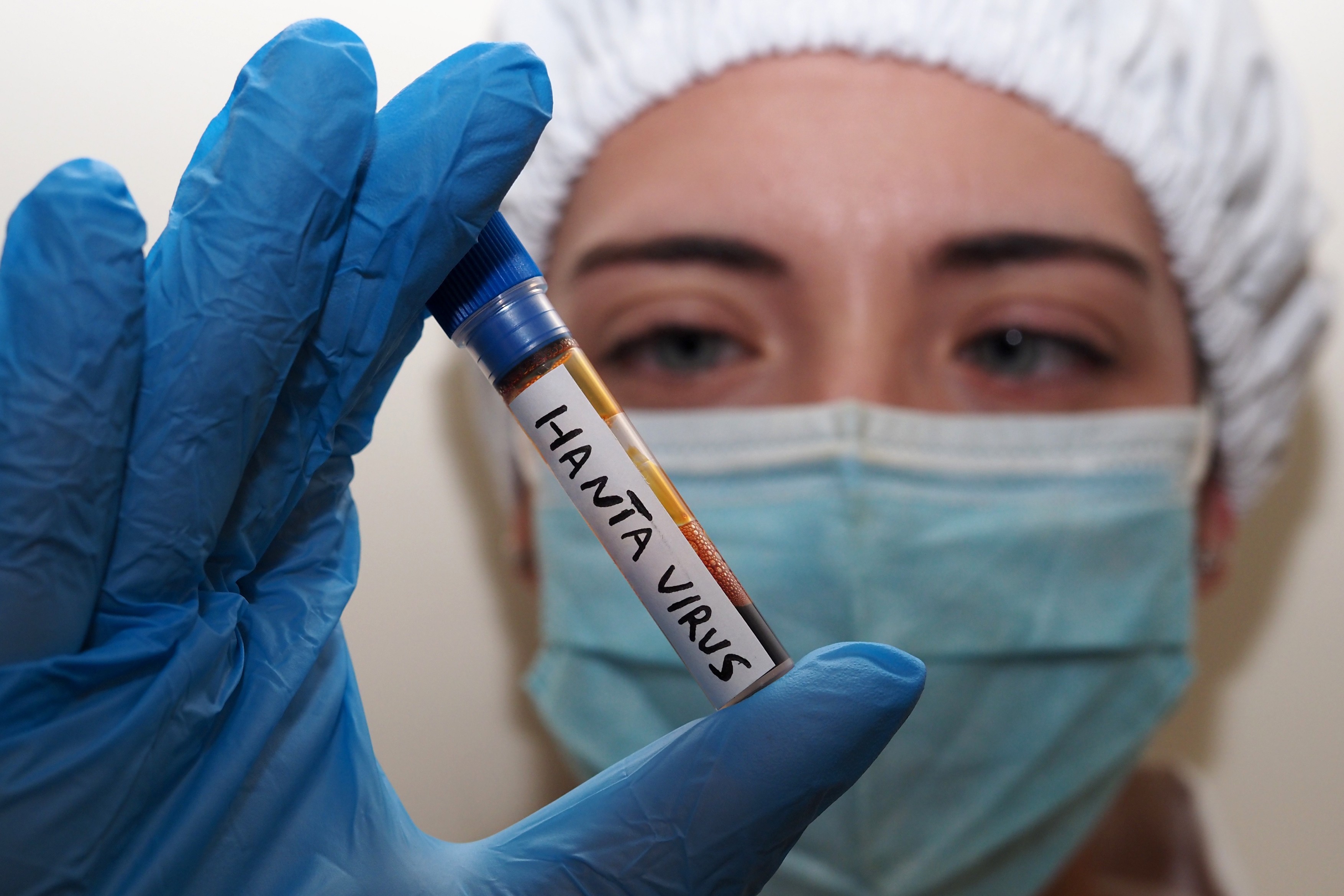 „Numărul de cazuri va crește”. Avertismentul OMS privind infectările cu hantavirus