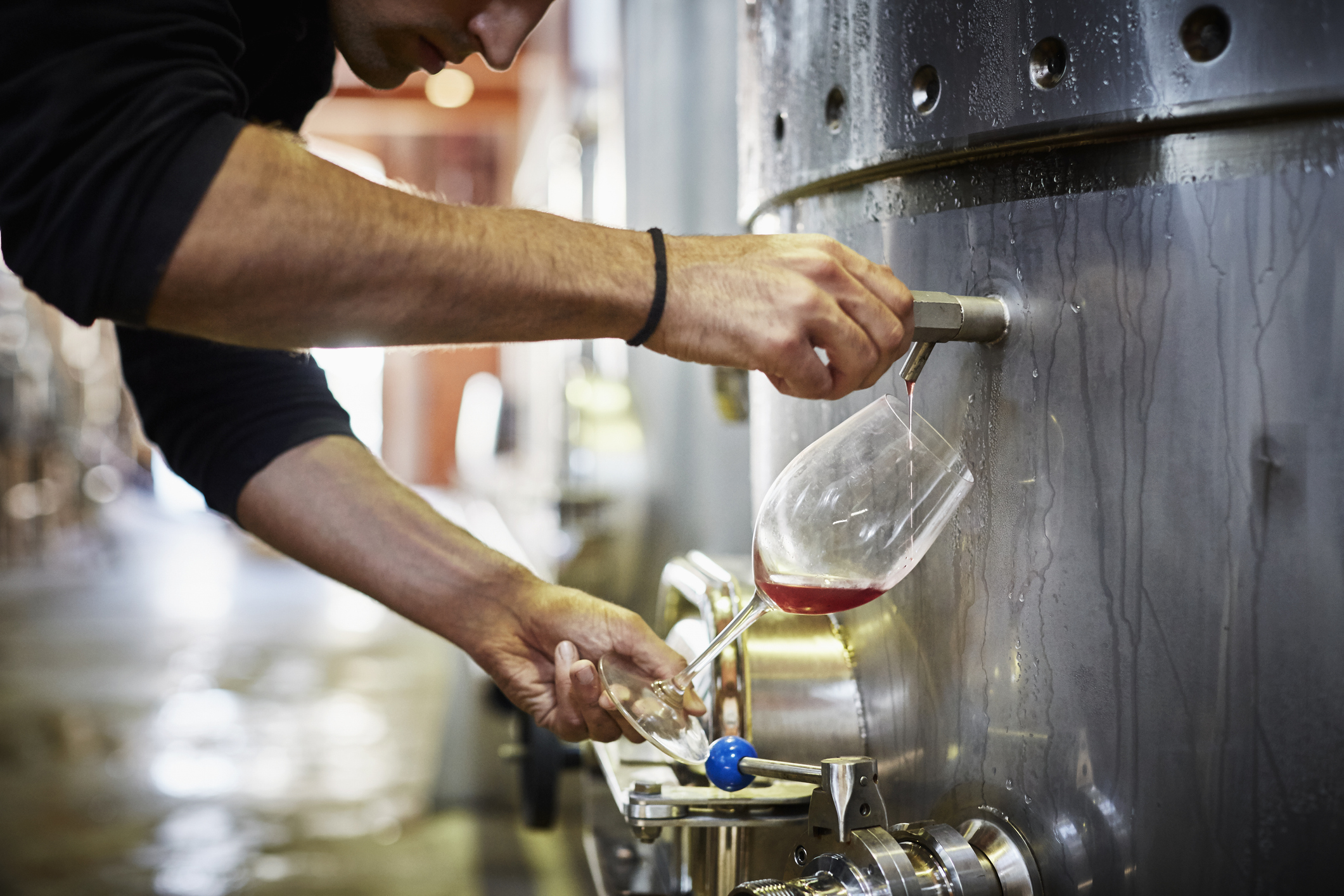 Taxele vamale afectează comerţul global cu vin în 2025, în timp ce România îşi creşte producţia, arată OIV