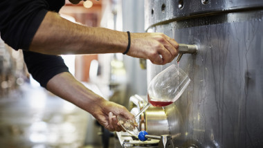 productie vin