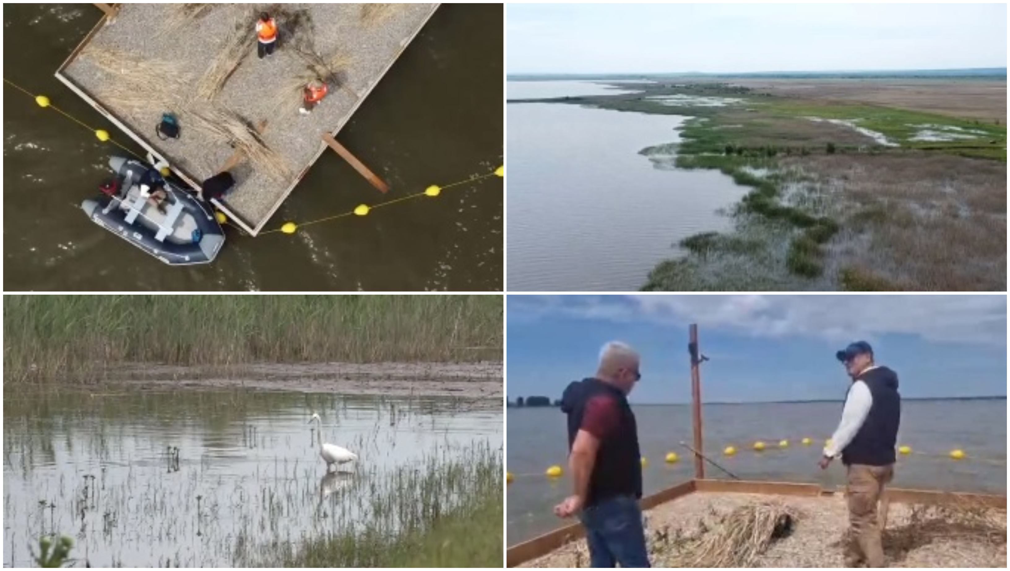 Experiment inedit în Dolj: insule artificiale pentru atragerea păsărilor sălbatice, pe cel mai mare lac din județ. „E doar începutul”
