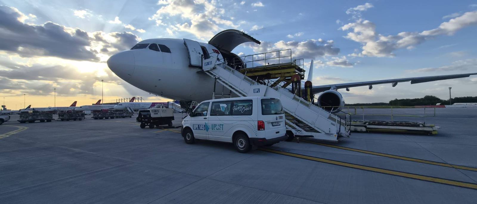 România a trimis peste 4.000 de oi în Algeria cu avioane cargo. Țara africană își asigură necesarul exclusiv de pe piața românească