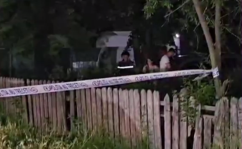 Tragedie în județul Buzău: Un copil de patru ani a murit după ce a fost mușcat de un câine ciobănesc