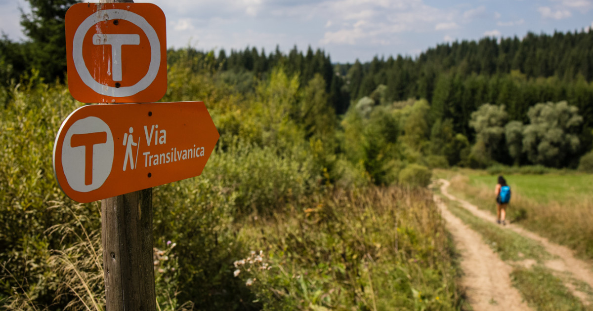 MedLife devine partener de sănătate în Via Transilvanica