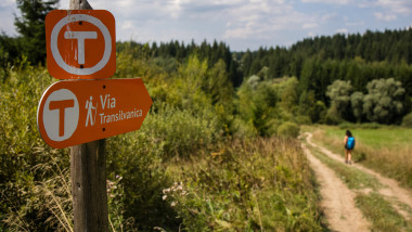 MedLife & Via Transilvanica 1