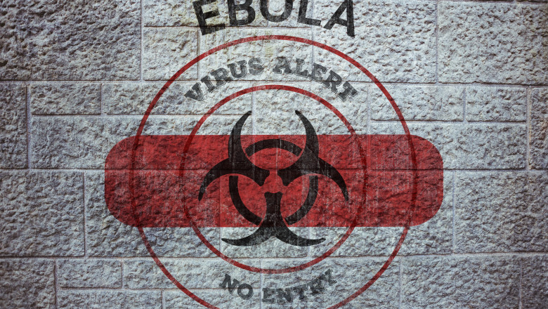 OMS a identificat tratamente şi vaccinuri experimentale împotriva virusului Ebola. Urmează teste în cadrul unor studii clinice