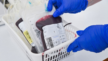 Blood Transfusion Centre In Krasnodar, Russia