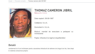 Screenshot 2026-05-20 125410