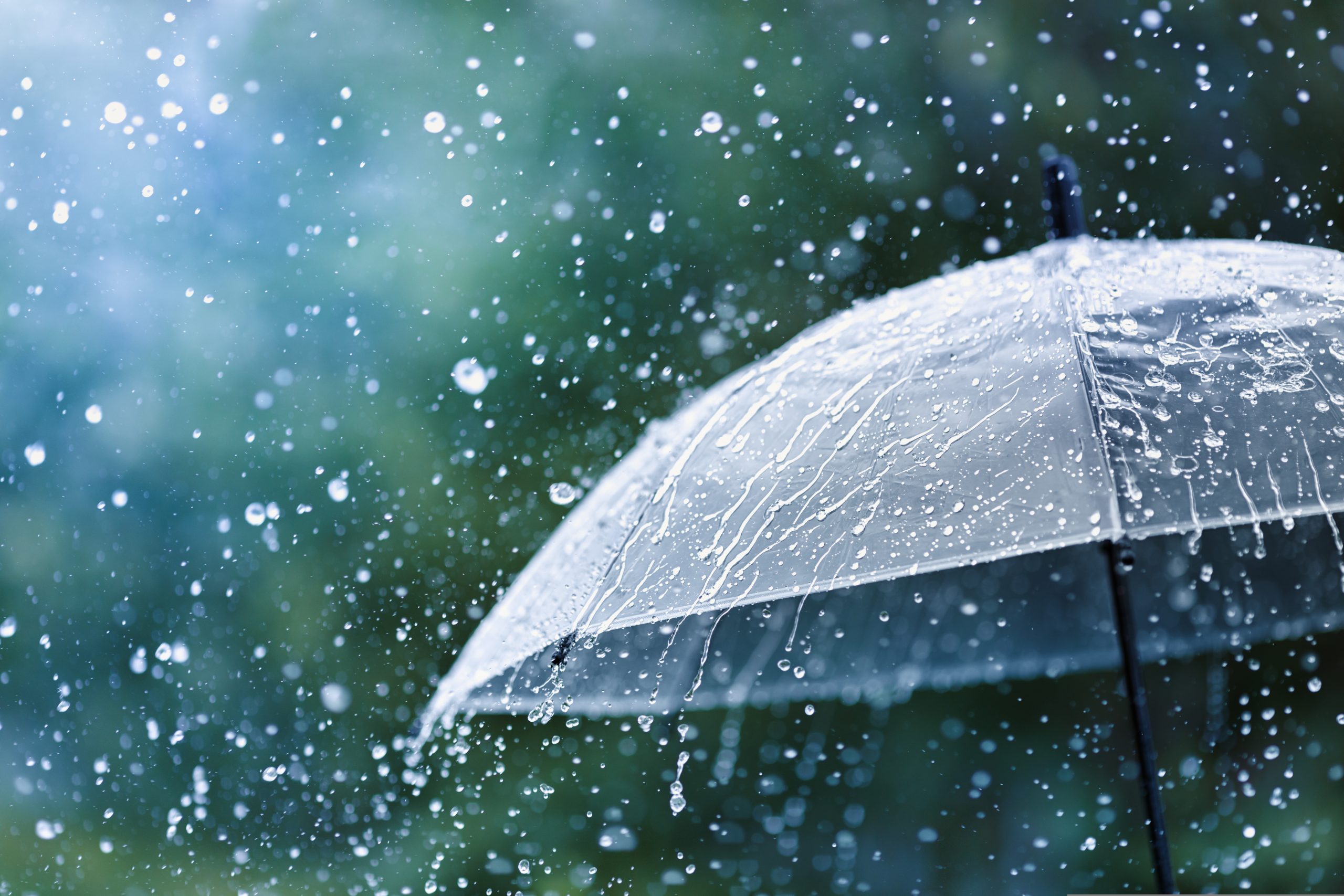 Meteorologii anunță ploi în jumătate de țară. Care sunt județele vizate de cod galben de vânt puternic și cum va fi vremea în Capitală