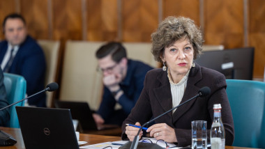 oana gheorghiu in sedinta de guvern