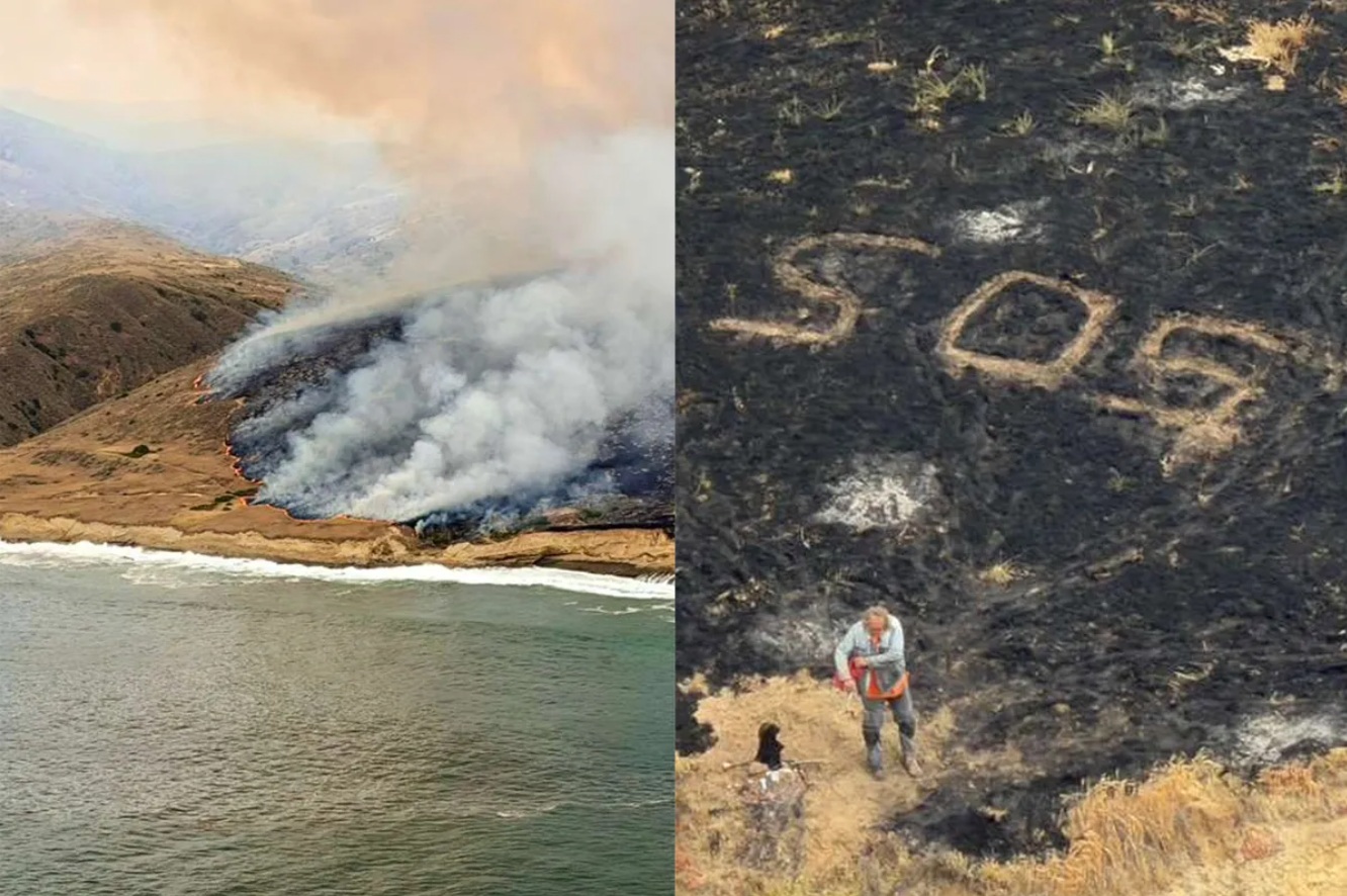„Bijuteria de pe coasta Californiei”, devastată de un incendiu uriaș declanșat de un marinar naufragiat. Cum a luat foc insula