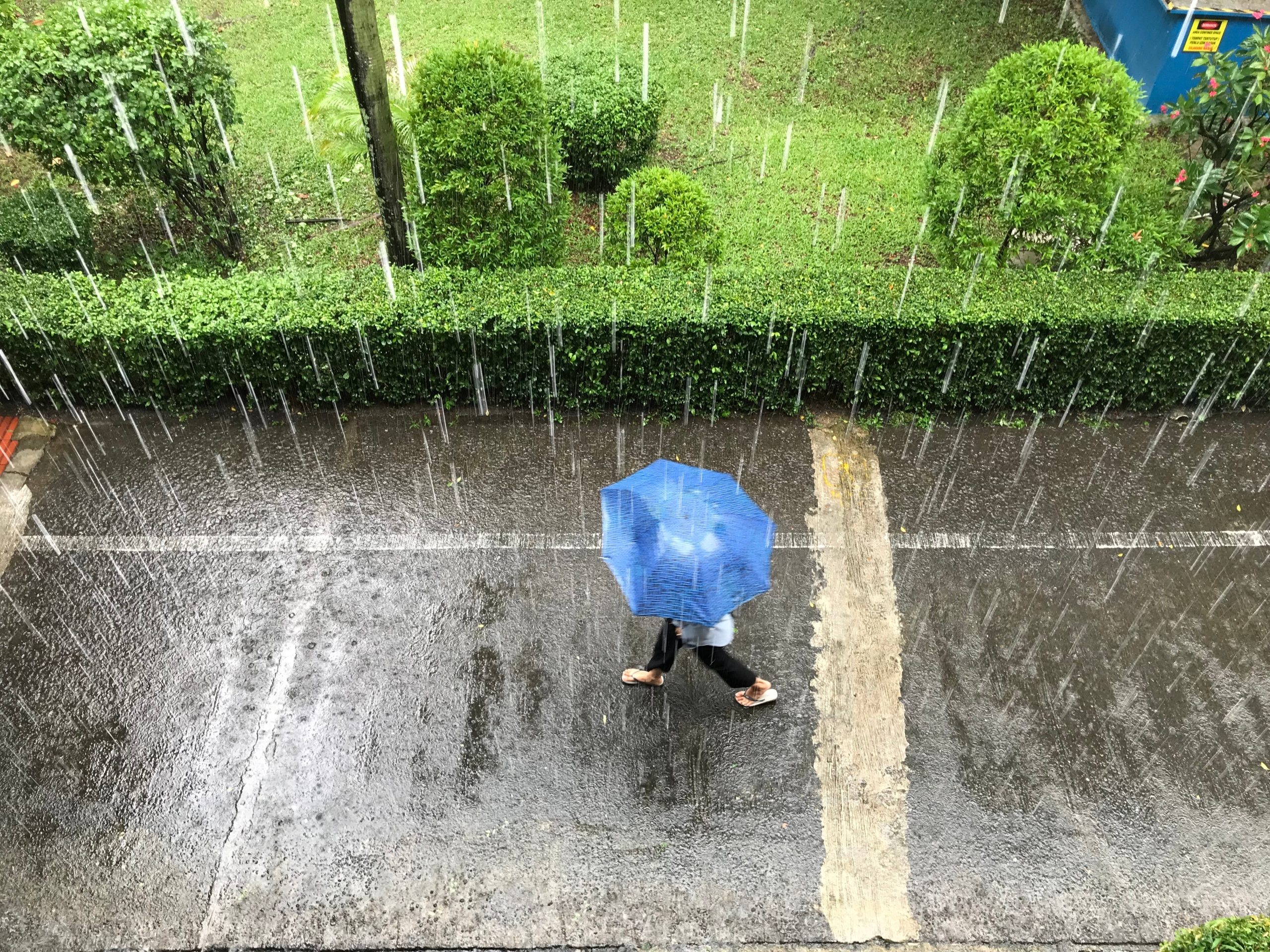 ANM a emis noi alerte de ploi, vijelii și vânt puternic. Ce zone sunt afectate de cod galben și cum va fi vremea în București HARTĂ