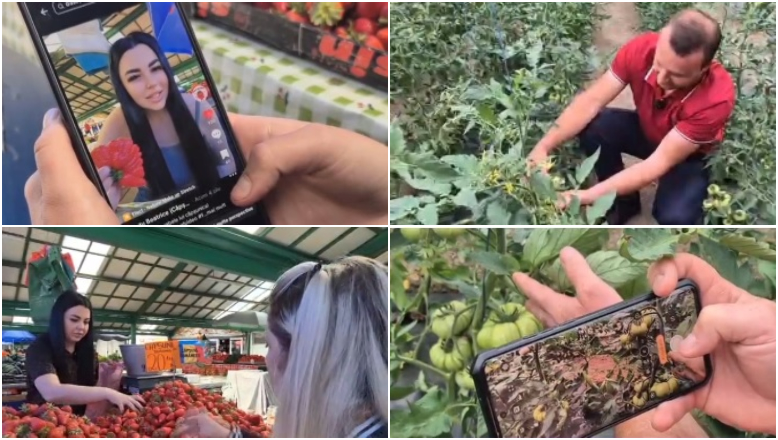 Noul trend printre comercianții din piețe: fructe și legume promovate pe rețelele sociale. Cum ajută clipurile online vânzările