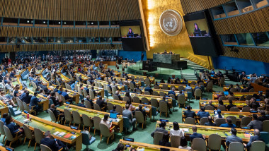 Election to the UN Security Council