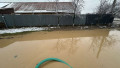 inundatii bacau
