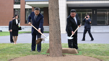 xi si kim jong planteaza un copac cu lopeti in mana