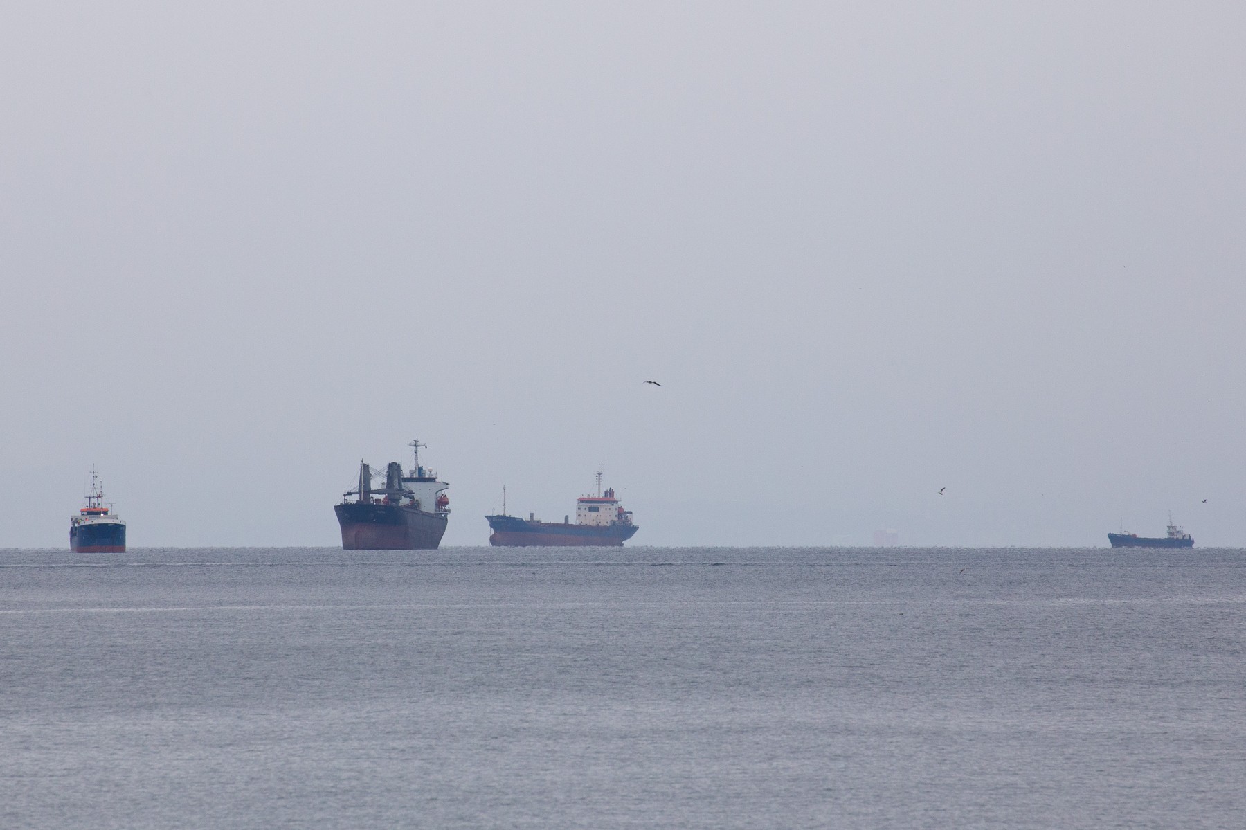 Singurul șantier naval din UE care mai repară vasele cu care Rusia își exportă gazul din Siberia: sancțiunile intră în vigoare în 2027
