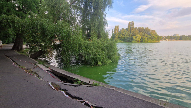 trotuar din parcul herastrau