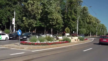 alveola bulevard iasi