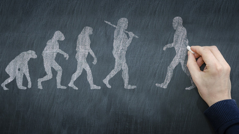 Chalkboard illustration of progression of evolution